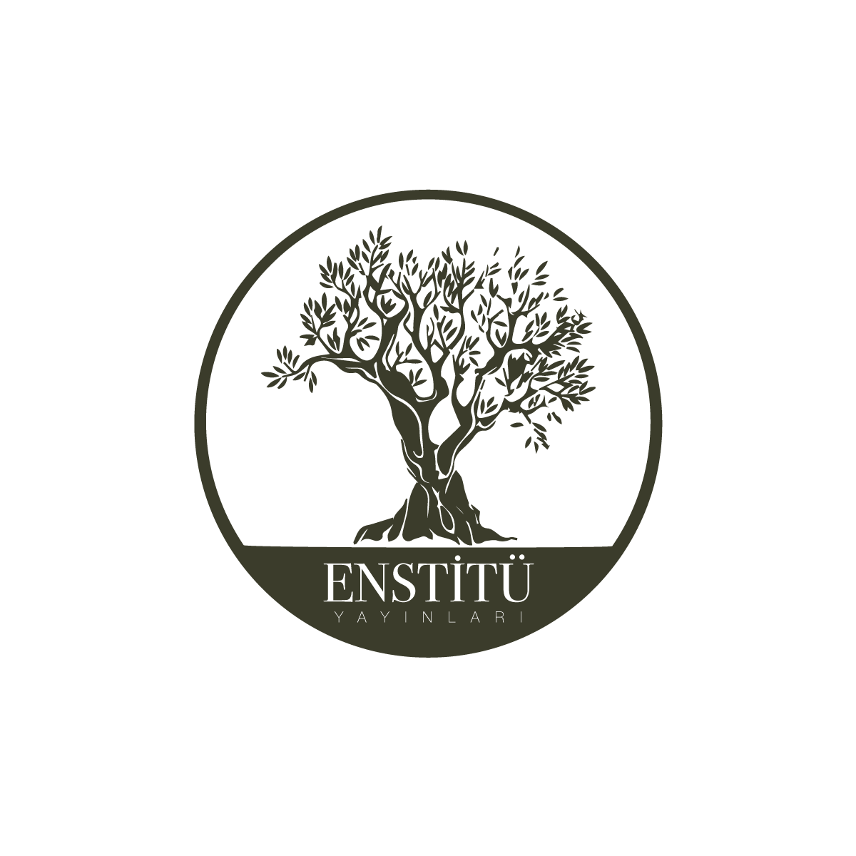 Enstit&uuml; Yayınları